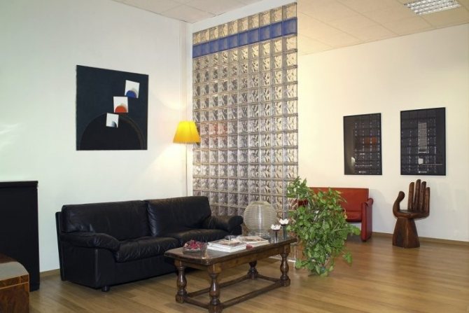 (55 photos) Blocs de verre à l'intérieur de l'appartement photo