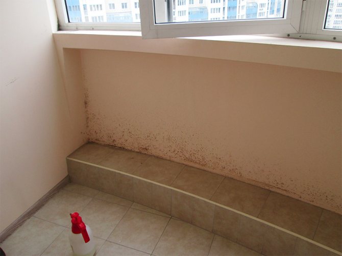 Balcon moisi