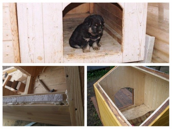 chauffage par le sol sûr pour les chiens