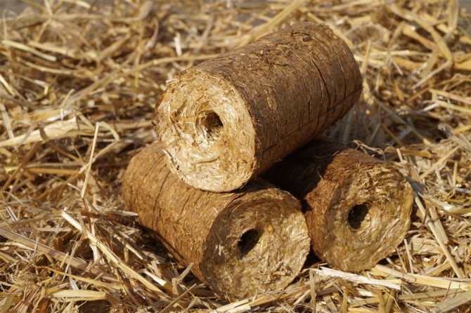 Briquetes de palha