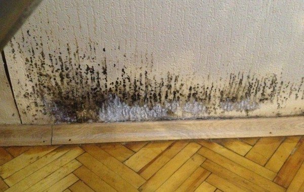 Que faire - si le mur de l'appartement est gelé?
