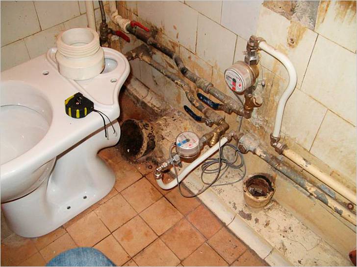 Demontage der Toilette