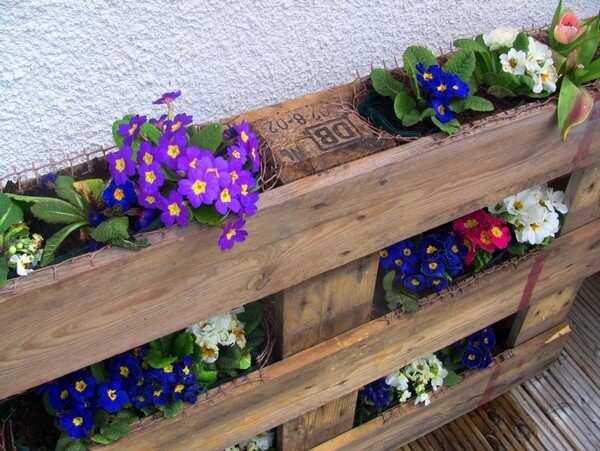 palette en bois