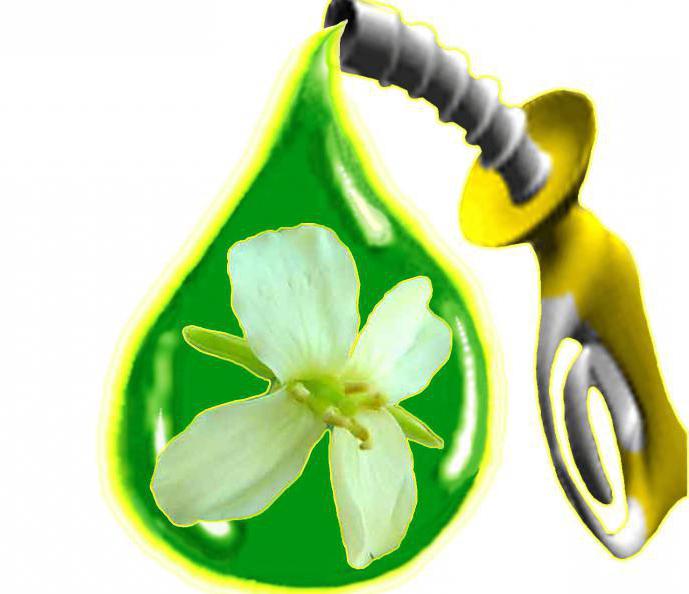 cheminée domestique au biocarburant