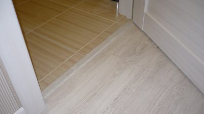 Portes intérieures sans seuil