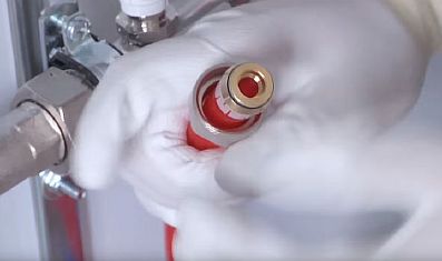 Foto - Coloque a noz