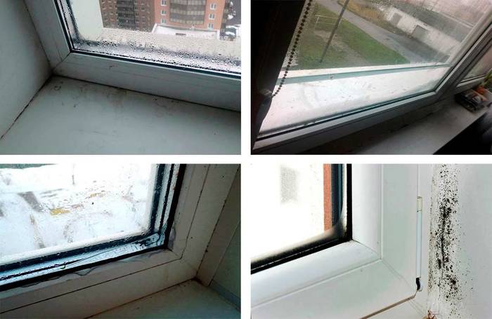 Foto: Hohe Luftfeuchtigkeit verursacht Schimmel