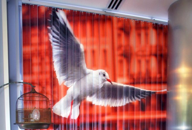 Stores photo