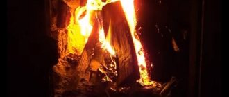 Brûler des bûches dans le four