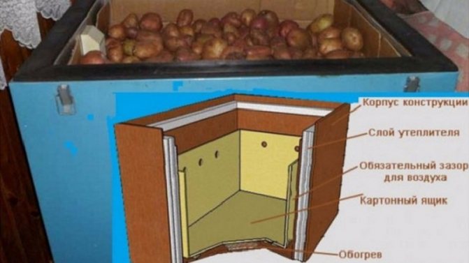 Stockage des légumes sur le balcon en hiver et en été: conditions, adaptations