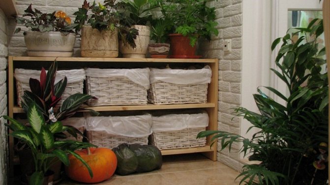 Stockage des légumes sur le balcon en hiver et en été: conditions, adaptations