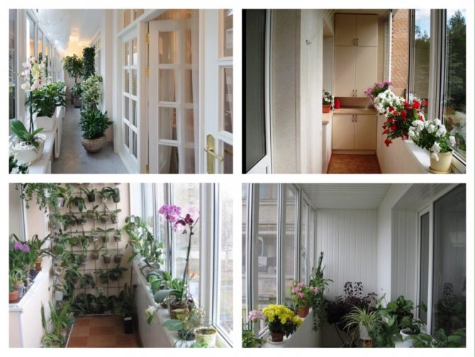 utiliser le rebord de la fenêtre du balcon pour les fleurs