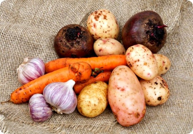 Comment conserver les légumes sur le balcon en hiver: nous fabriquons une boîte thermo avec et sans chauffage