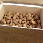 Comment faire une boîte pour conserver les légumes sur le balcon
