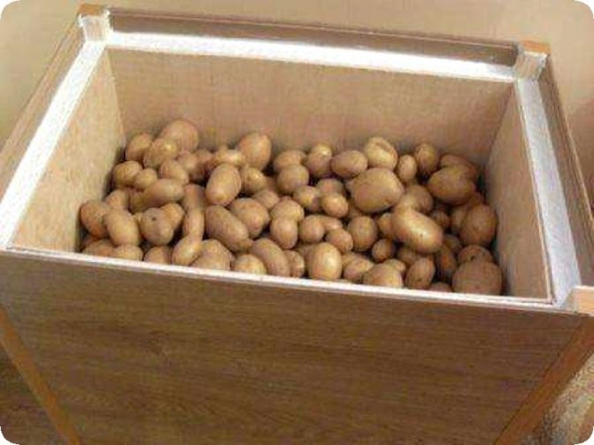 Comment faire une boîte pour conserver les légumes sur le balcon