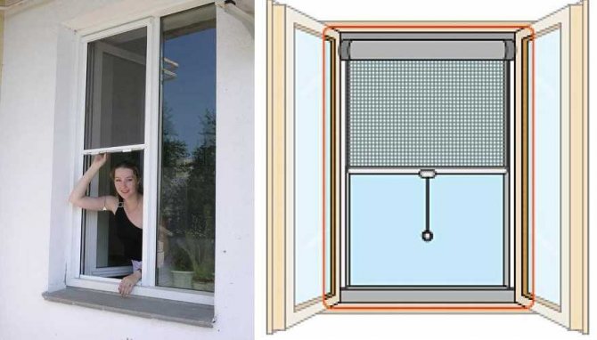 Wie installiere ich ein Moskitonetz an einem Plastikfenster? 30 Foto