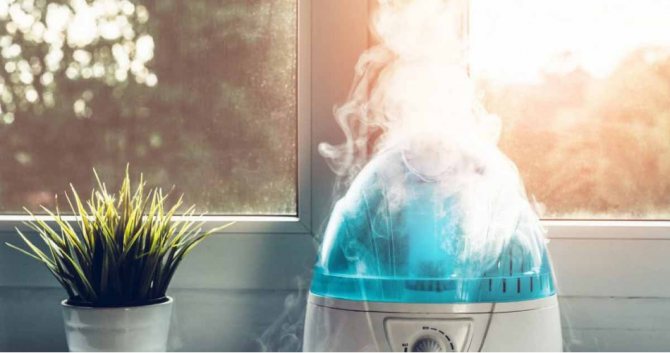 Comment choisir un humidificateur: décider lequel est le meilleur