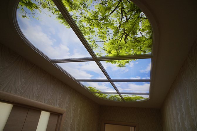 photo de faux plafond
