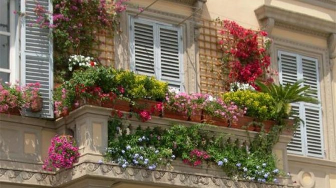 Jardinières pour balcons