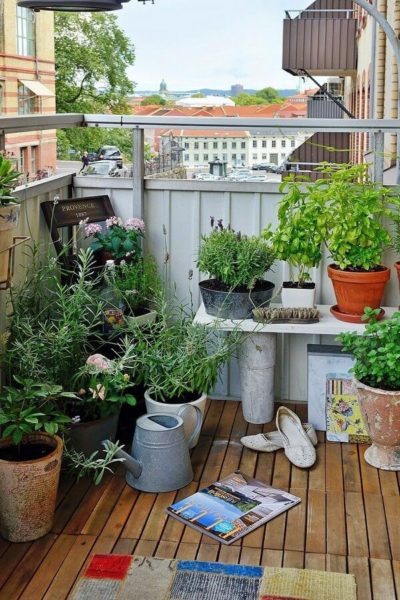 fleurs d'intérieur sur le balcon