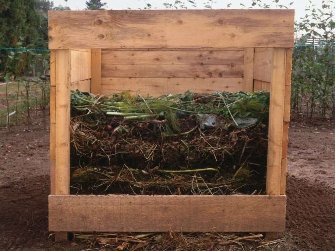 Compost de sciure de bois