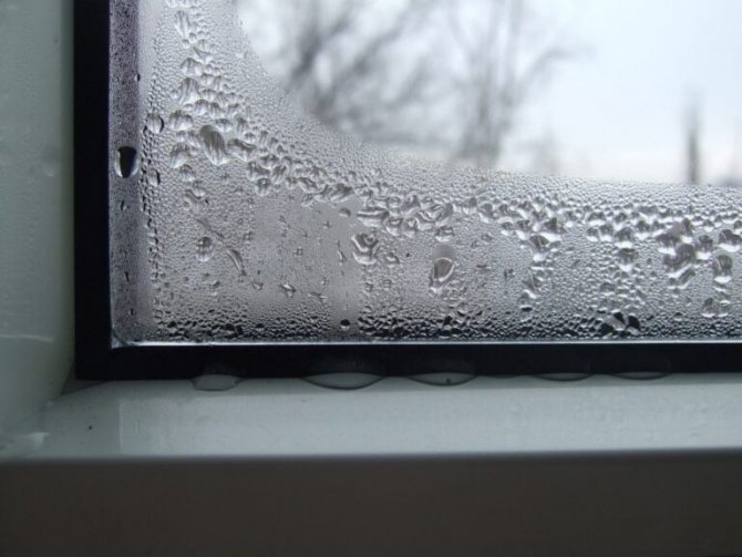 condensation sur la fenêtre