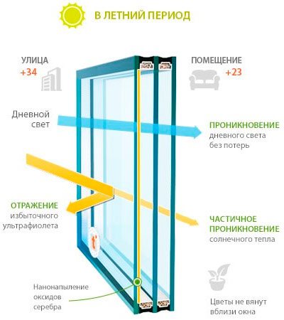 Vitrine multifonctionnelle en été