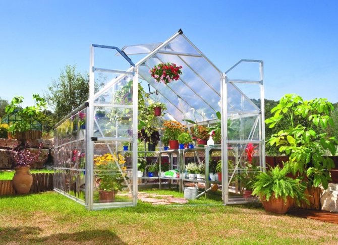 Serre d'un tuyau profilé pour la culture de diverses plantes