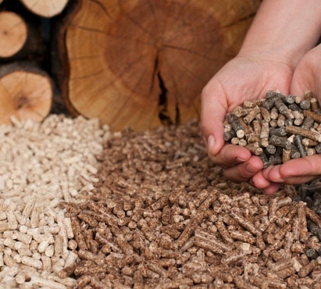 Pellets selbst können in der Qualitätsklasse variieren