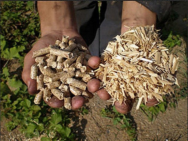 DIY Pellets