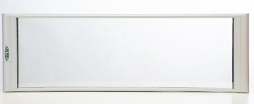 Pfingstrosen-Thermoglas P-10