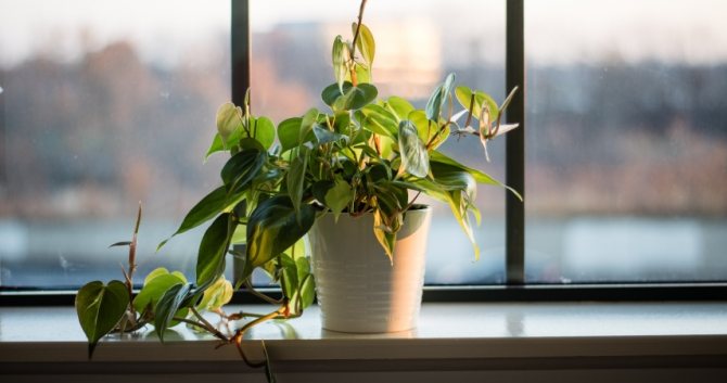Appui de fenêtre en plastique