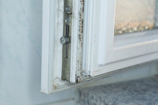 Moisissure sur la fenêtre: causes d'apparition, méthodes et moyens de lutte