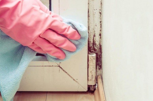 Moisissure sur la fenêtre: causes d'apparition, méthodes et moyens de lutte