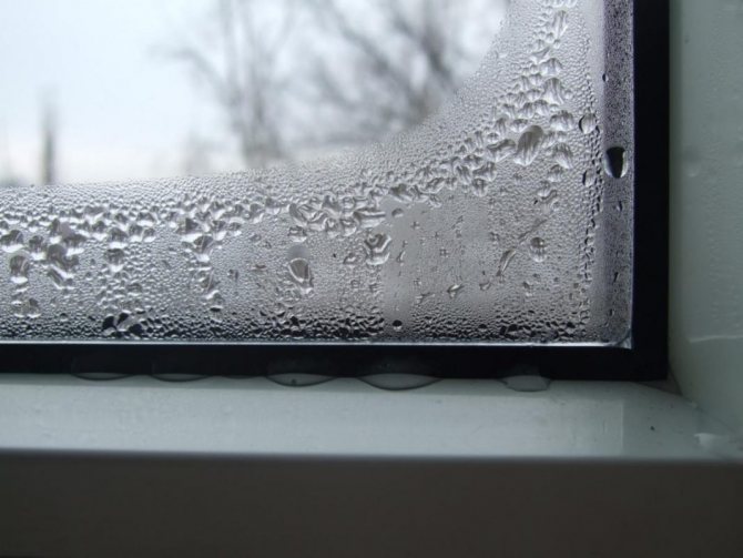 Pourquoi les fenêtres de la maison transpirent et comment se débarrasser d'une fuite