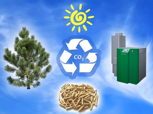 Beim Verbrennen von Pellets werden ungefährliche Substanzen in die Atmosphäre freigesetzt.