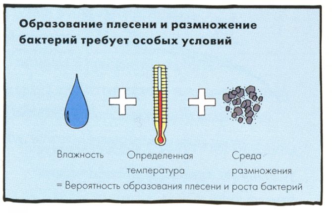 Causes de la moisissure et de la moisissure sur le balcon