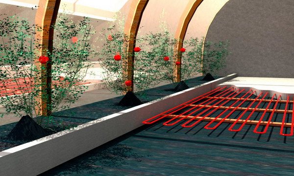 Exemple d'installation de bande dans une serre