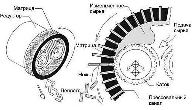 Ein ungefähres Diagramm des Pressens von Pellets durch eine zylindrische Matrix