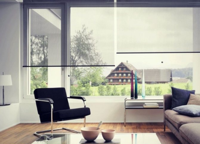 Transparente Rollos an einem großen Wohnzimmerfenster