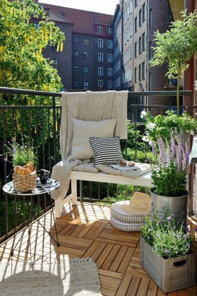 plantes en pot sur le balcon
