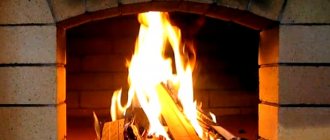 Un feu brûlant dans un four en pierre