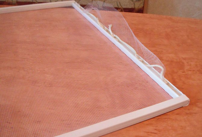 Mesh auf einem Holzfenster