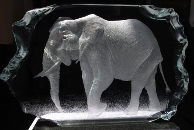 l'éléphant