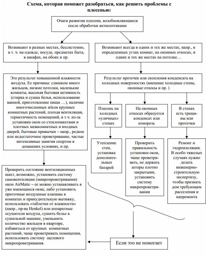 Méthodes d'élimination des moisissures