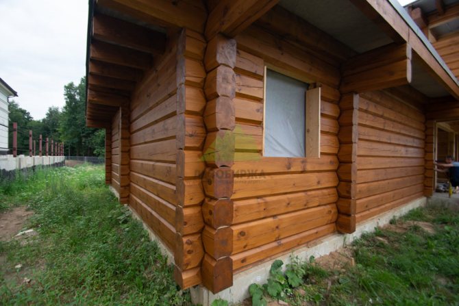 Cabane en rondins YM M349 de Renner