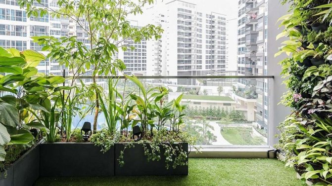 Lohnt es sich, einen Panoramabalkon zu bauen: Vor- und Nachteile, Ausstattung und gemütliches Design