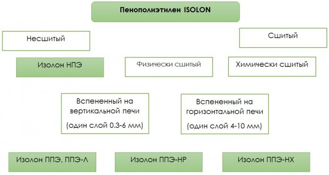 изолонова структура