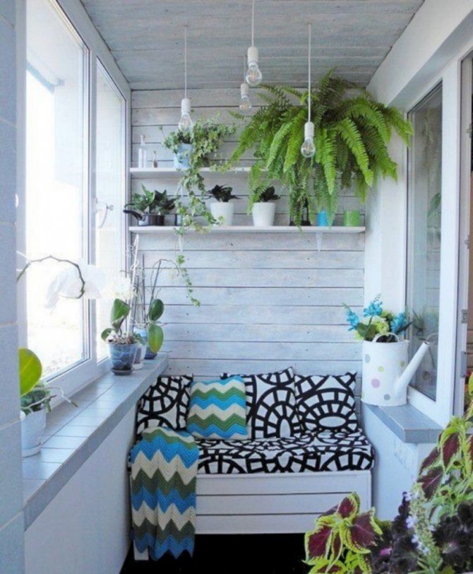 Plafond gris clair sur le balcon avec un jardin d'hiver