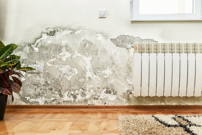 Feuchtigkeit und Schimmel in der Wohnung